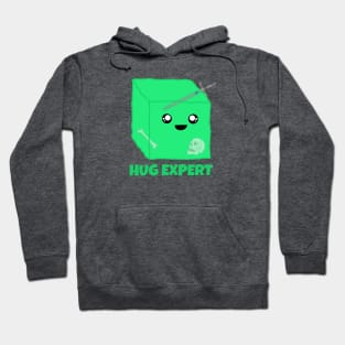 Hug Expert Gelatinous Cube Cute Monster Hoodie